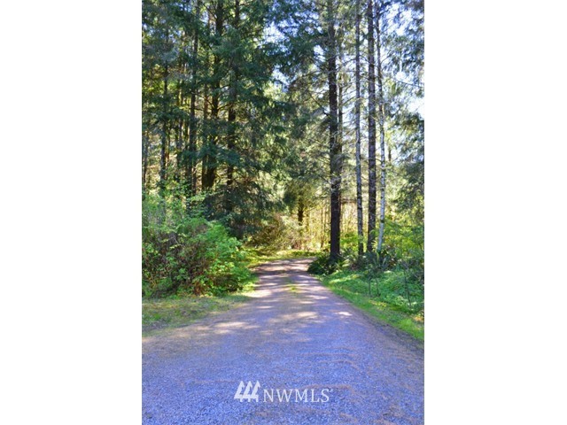 2605 Calawah Way Forks, WA 98331 - Photo 19 of 24 Gallery Image 19
