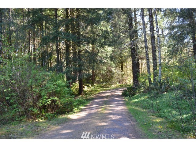 2605 Calawah Way Forks, WA 98331 - Photo 20 of 24 Gallery Image 20