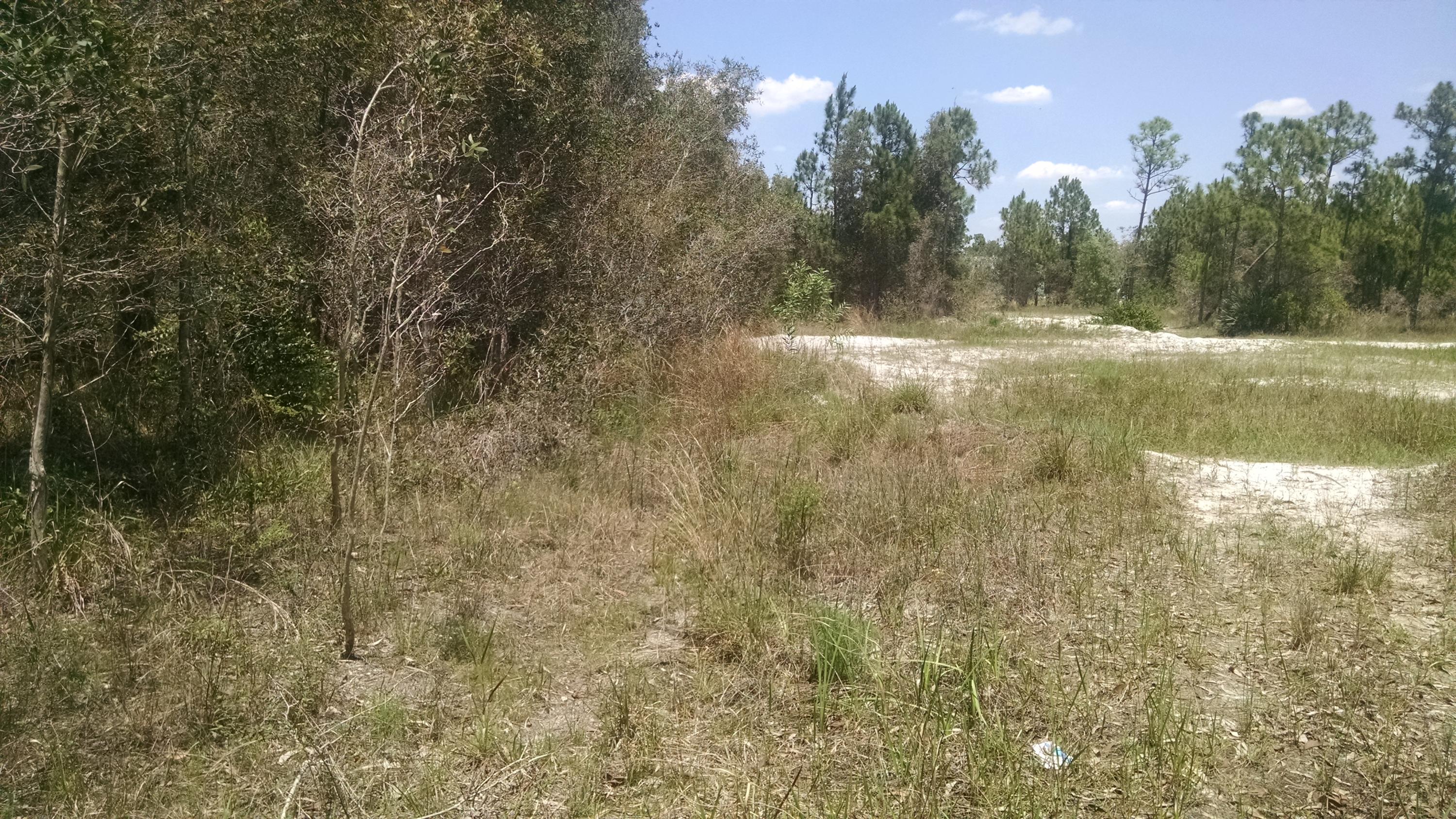 17276 82nd Road North Loxahatchee, FL 33470 - Photo 16 of 19 2015-05-01 13.12.41