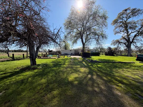 a view of yard with tree s