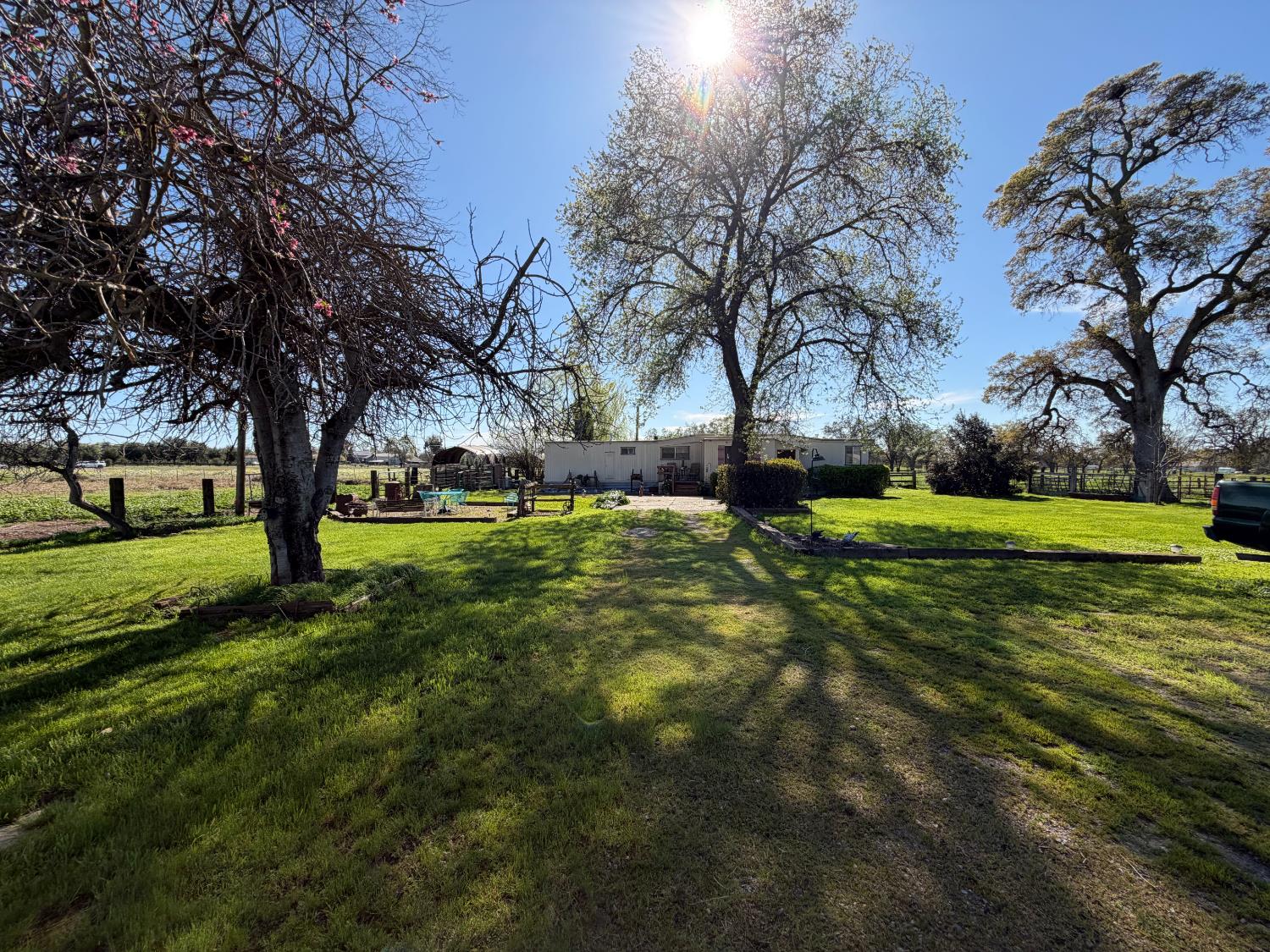 a view of yard with tree s