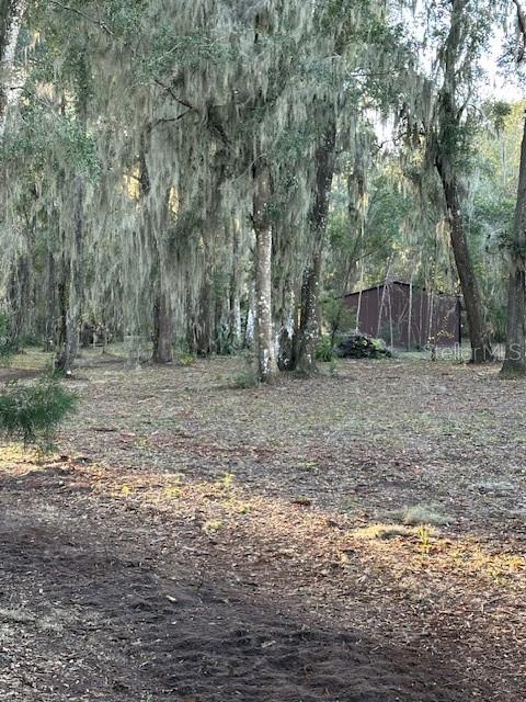 374 Sisco Road Pomona Park, FL 32181 - Photo 15 of 51 a view of a backyard with trees
