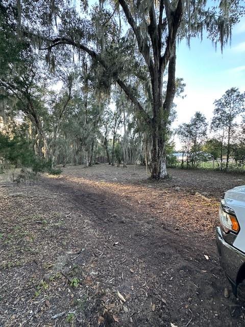 374 Sisco Road Pomona Park, FL 32181 - Photo 17 of 51 a view of backyard with outdoor space