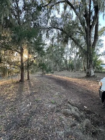 a view of dirt yard with a trees