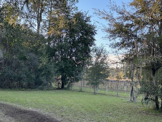 374 Sisco Road Pomona Park, FL 32181 - Photo 19 of 51 a view of a trees in a park