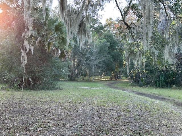 374 Sisco Road Pomona Park, FL 32181 - Photo 20 of 51 a view of a large yard with lots of green space
