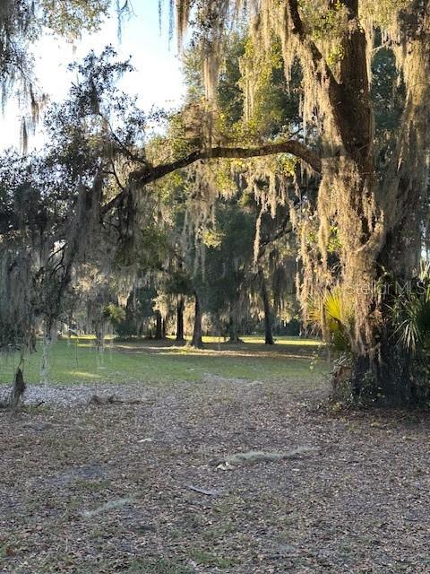 374 Sisco Road Pomona Park, FL 32181 - Photo 22 of 51 a view of a trees in a yard