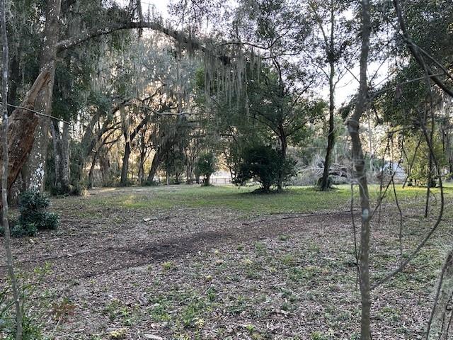 374 Sisco Road Pomona Park, FL 32181 - Photo 4 of 51 a view of a tree in the middle of a yard