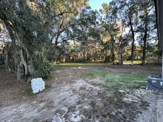 a view of backyard with green space