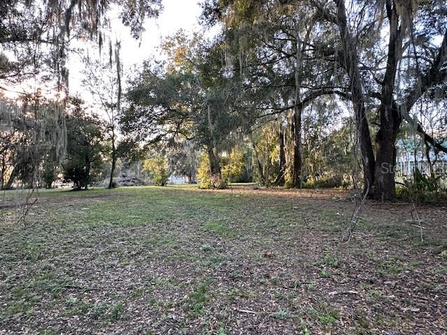 374 Sisco Road Pomona Park, FL 32181 - Photo 6 of 51 a view of outdoor space with trees