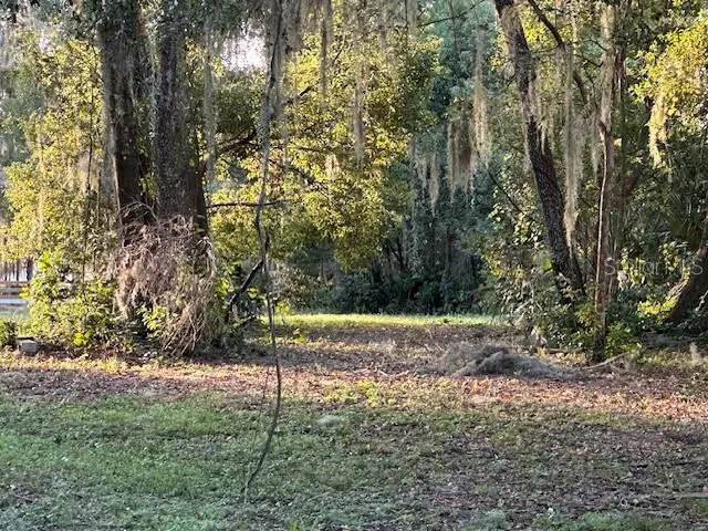 a view of a yard with large trees