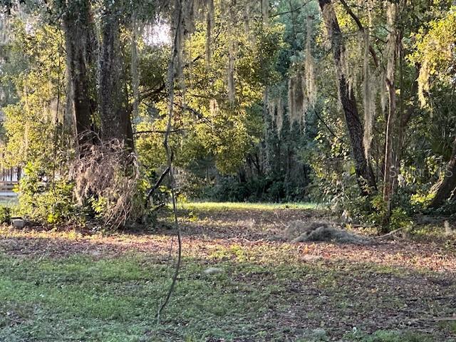 374 Sisco Road Pomona Park, FL 32181 - Photo 8 of 51 a view of a yard with large trees