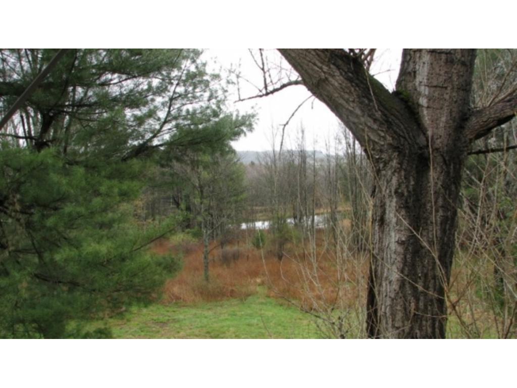 434 Beech Ridge Road Harpursville, NY 13787 - Photo 5 of 10 Gallery Image 5