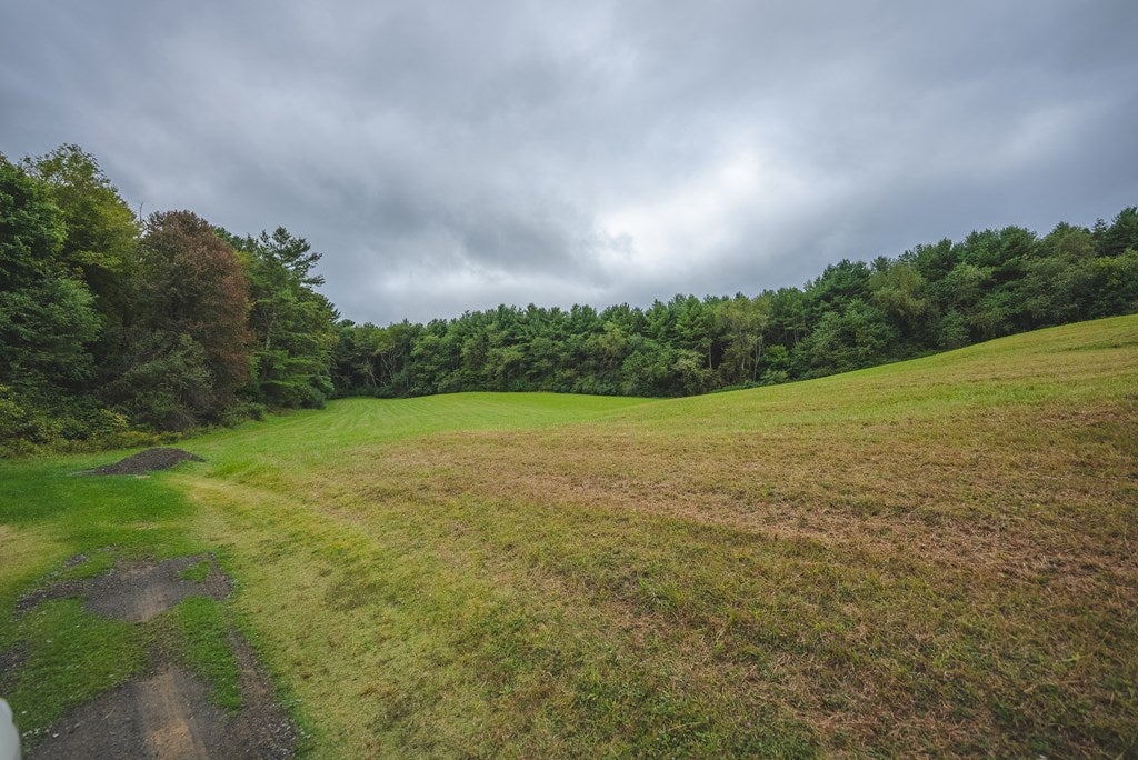 2066 Webbs Mill Road North Floyd, VA 24091 - Photo 53 of 77 Gallery Image 53