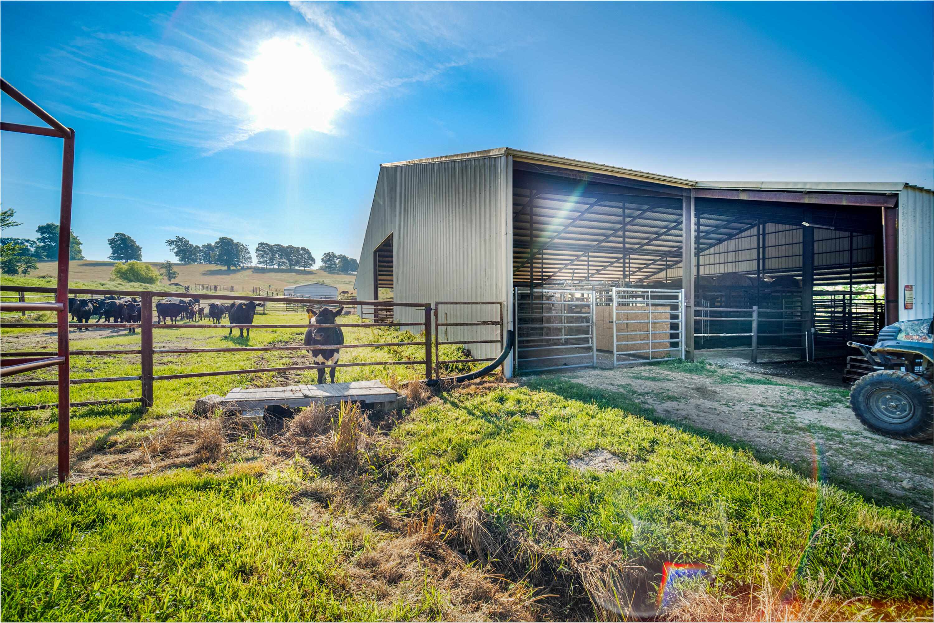 444 Rural Route 3, Unit O527 Ava, MO 65608 - Photo 58 of 89 AVA-FARM-DUSTIN-LEWIS-MLS-26