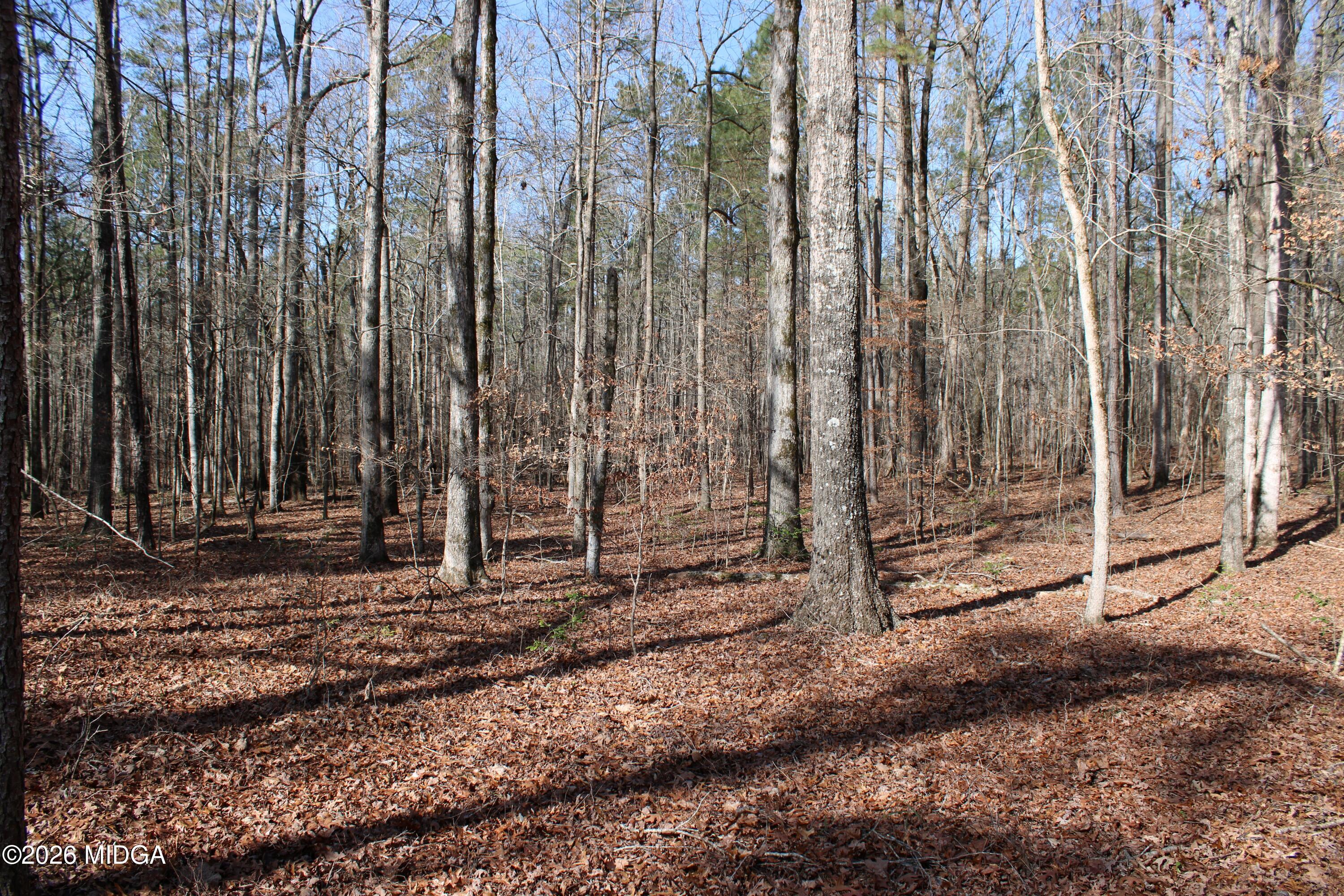 0 Greensboro Road Northwest Union Point, GA 30669 - Photo 11 of 42 a view of a backyard with trees