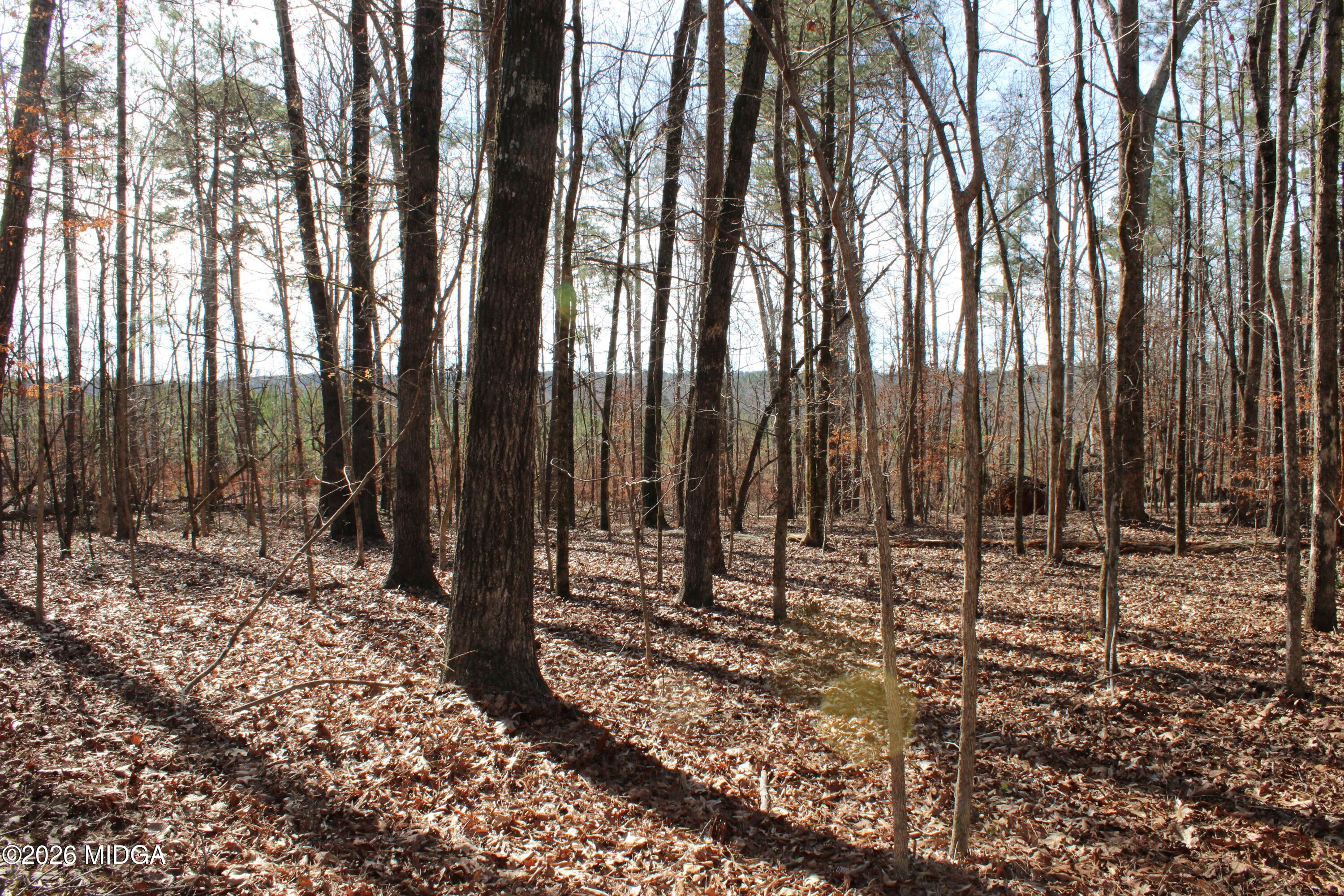 0 Greensboro Road Northwest Union Point, GA 30669 - Photo 13 of 42 a view of outdoor space with trees