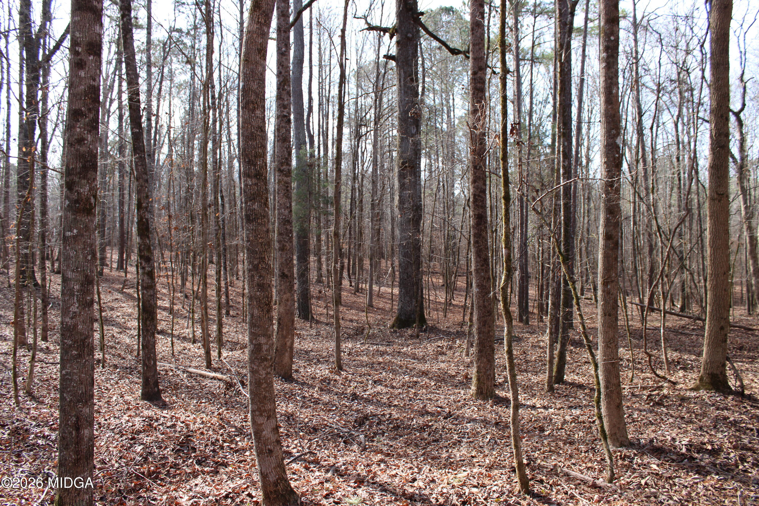 0 Greensboro Road Northwest Union Point, GA 30669 - Photo 18 of 42 a view of outdoor space with chairs