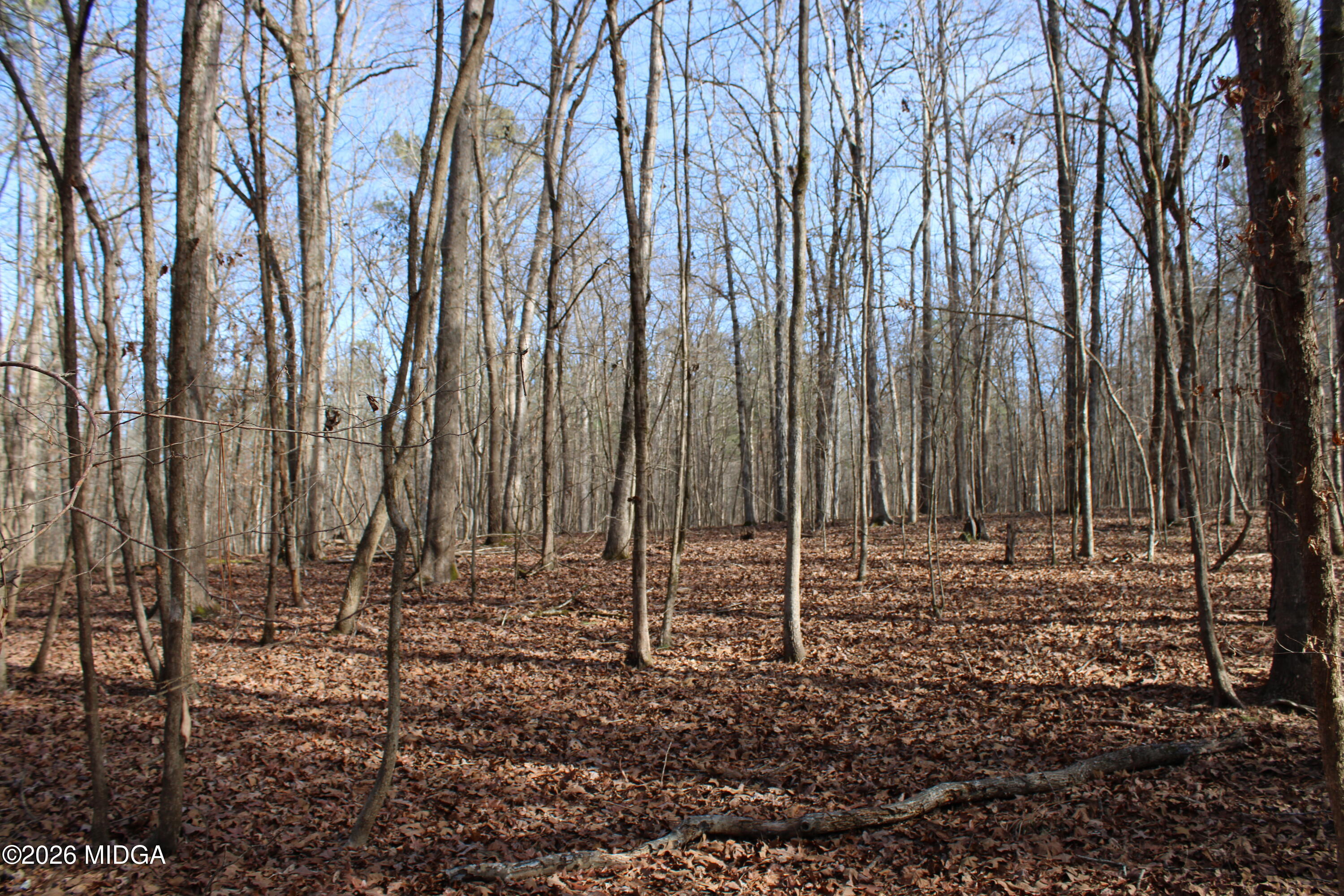 0 Greensboro Road Northwest Union Point, GA 30669 - Photo 19 of 42 a view of wooden fence with trees in the background
