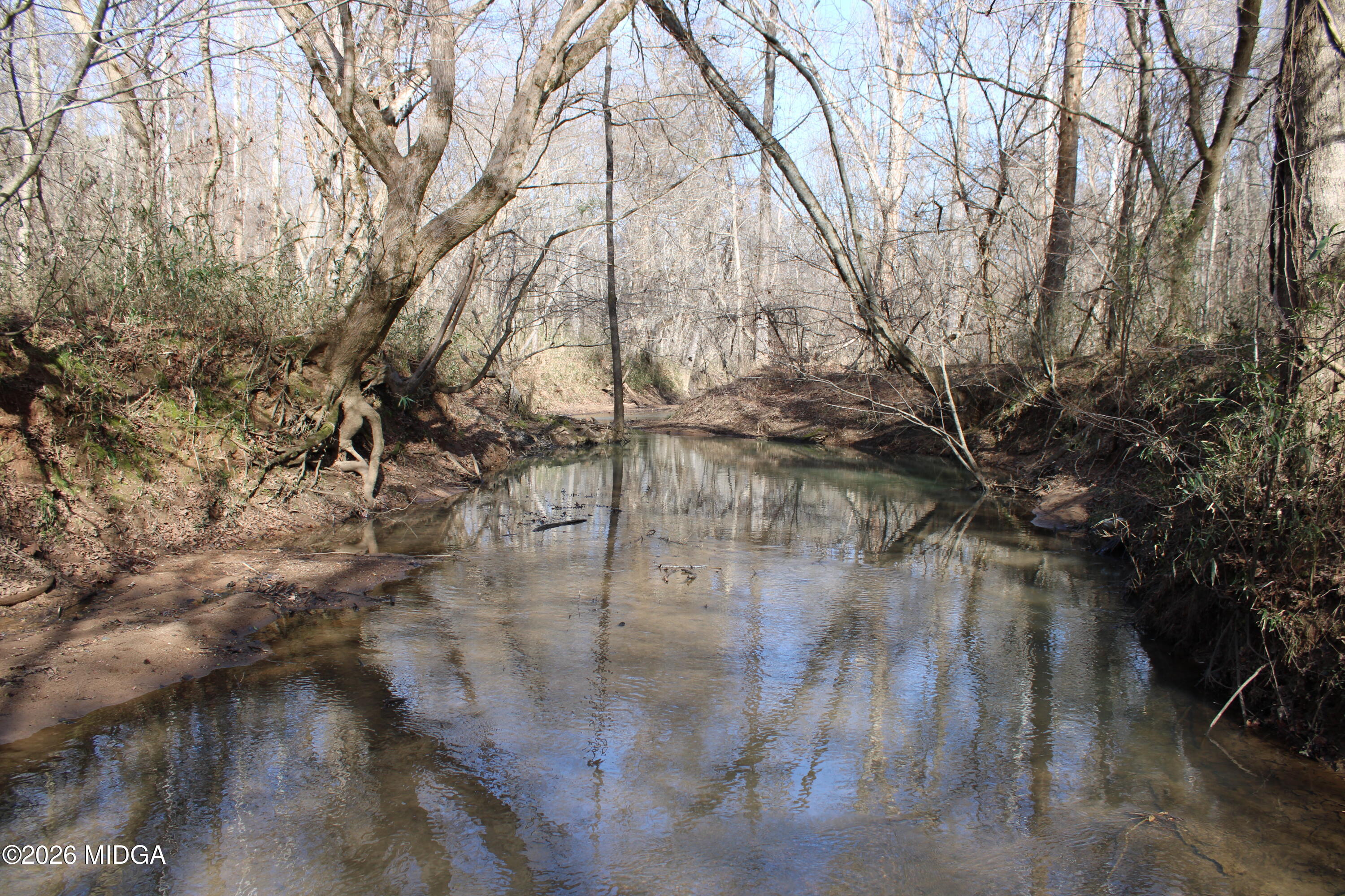 0 Greensboro Road Northwest Union Point, GA 30669 - Photo 2 of 42