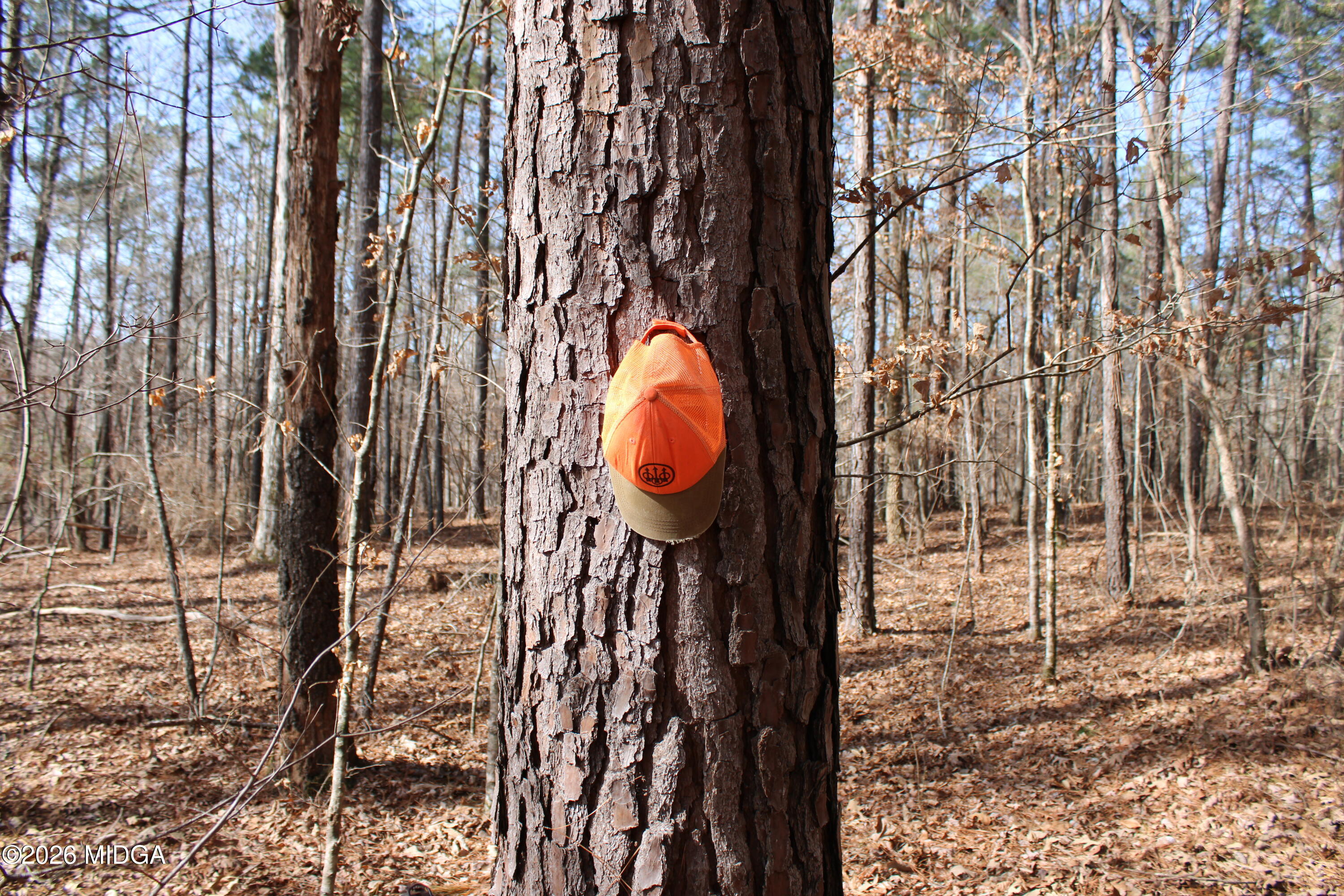 0 Greensboro Road Northwest Union Point, GA 30669 - Photo 24 of 42 a backyard of a house with barbeque oven and a table and chairs