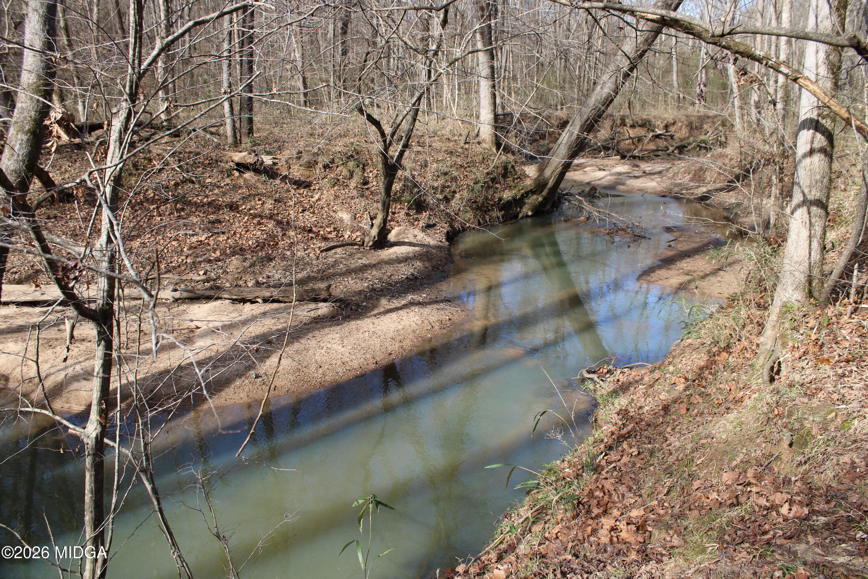 0 Greensboro Road Northwest Union Point, GA 30669 - Photo 3 of 42 a view of a yard with a tree