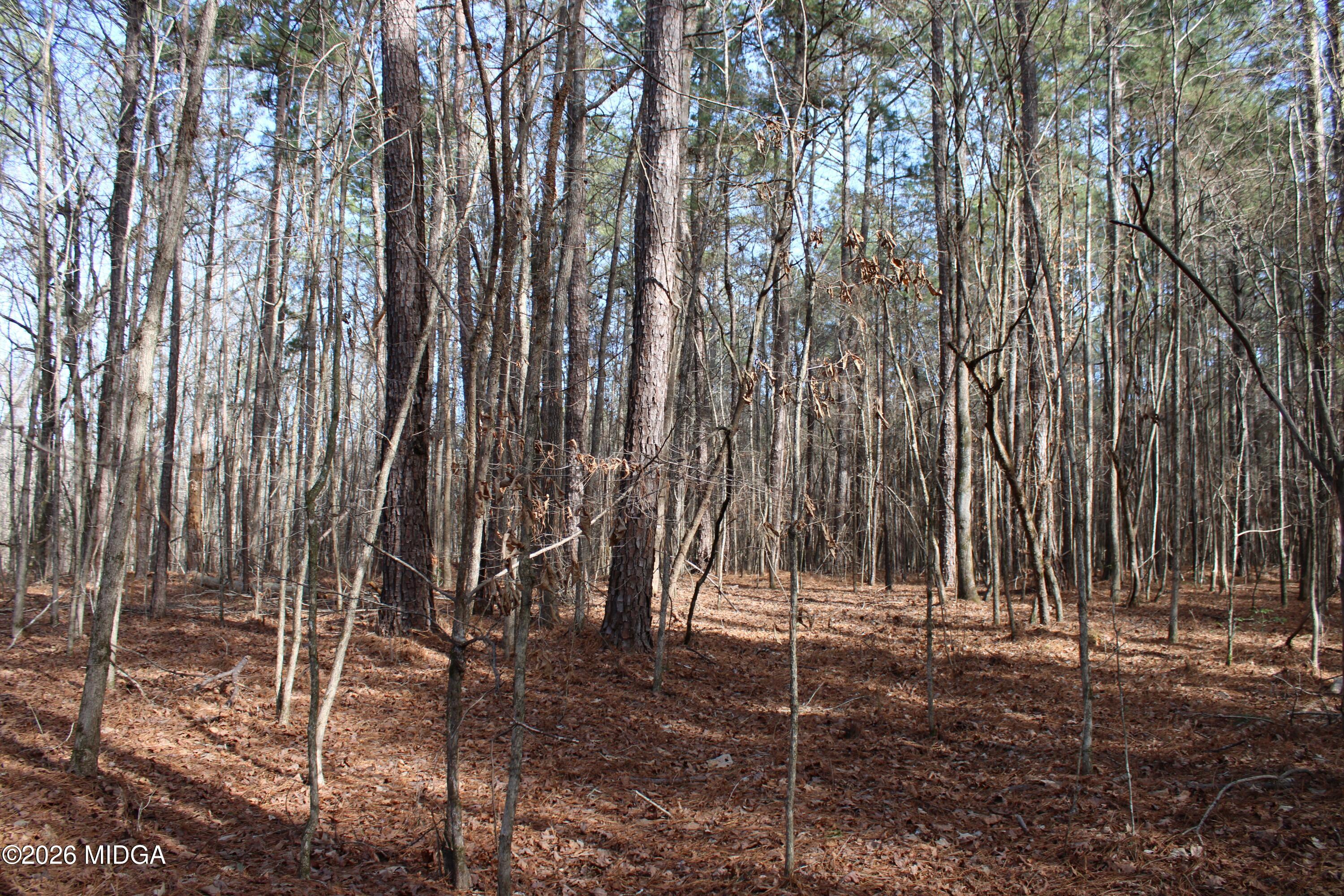 0 Greensboro Road Northwest Union Point, GA 30669 - Photo 34 of 42 a backyard of a house with lots of green space