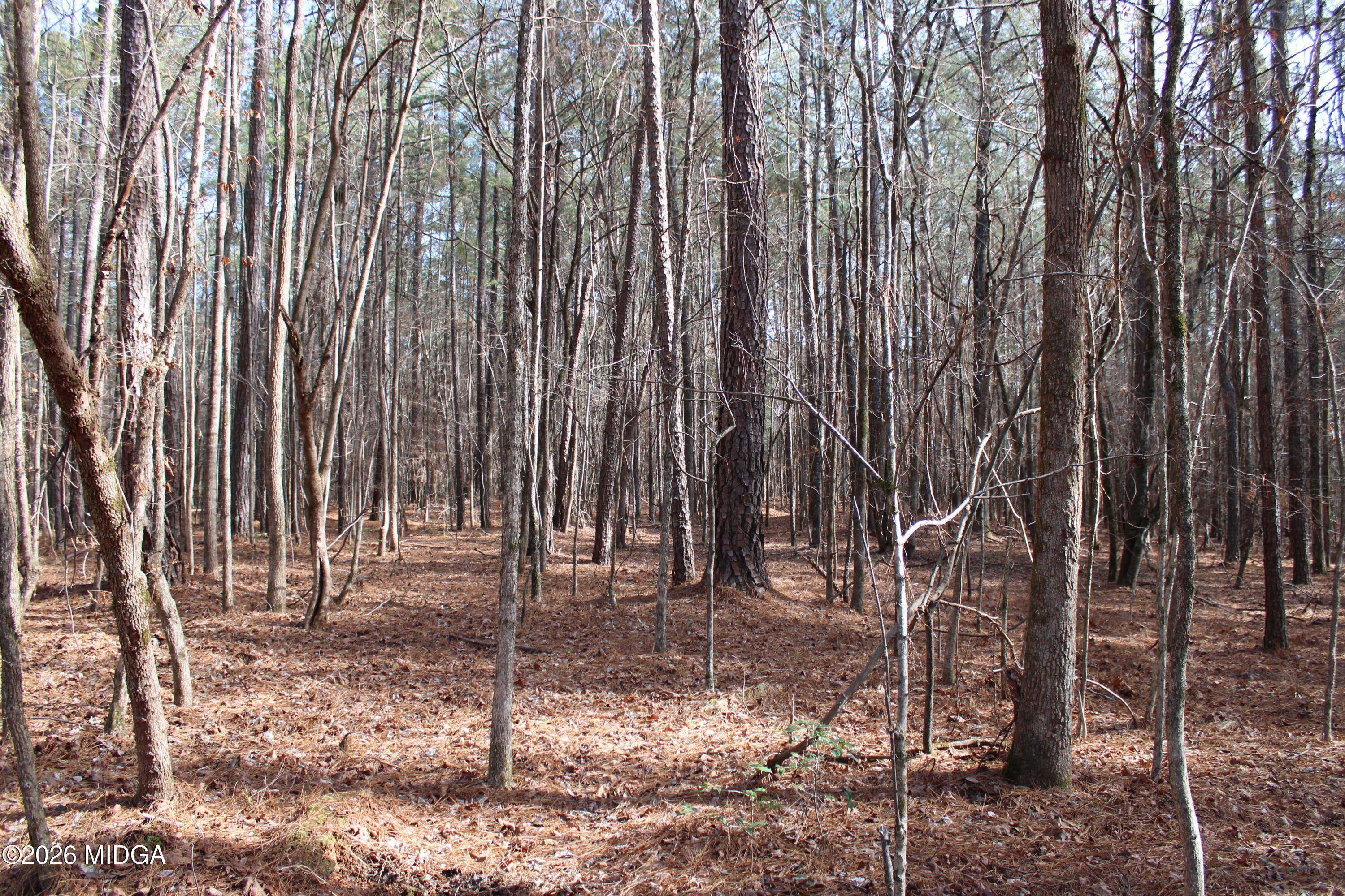 0 Greensboro Road Northwest Union Point, GA 30669 - Photo 35 of 42 a backyard of a house with lots of green space