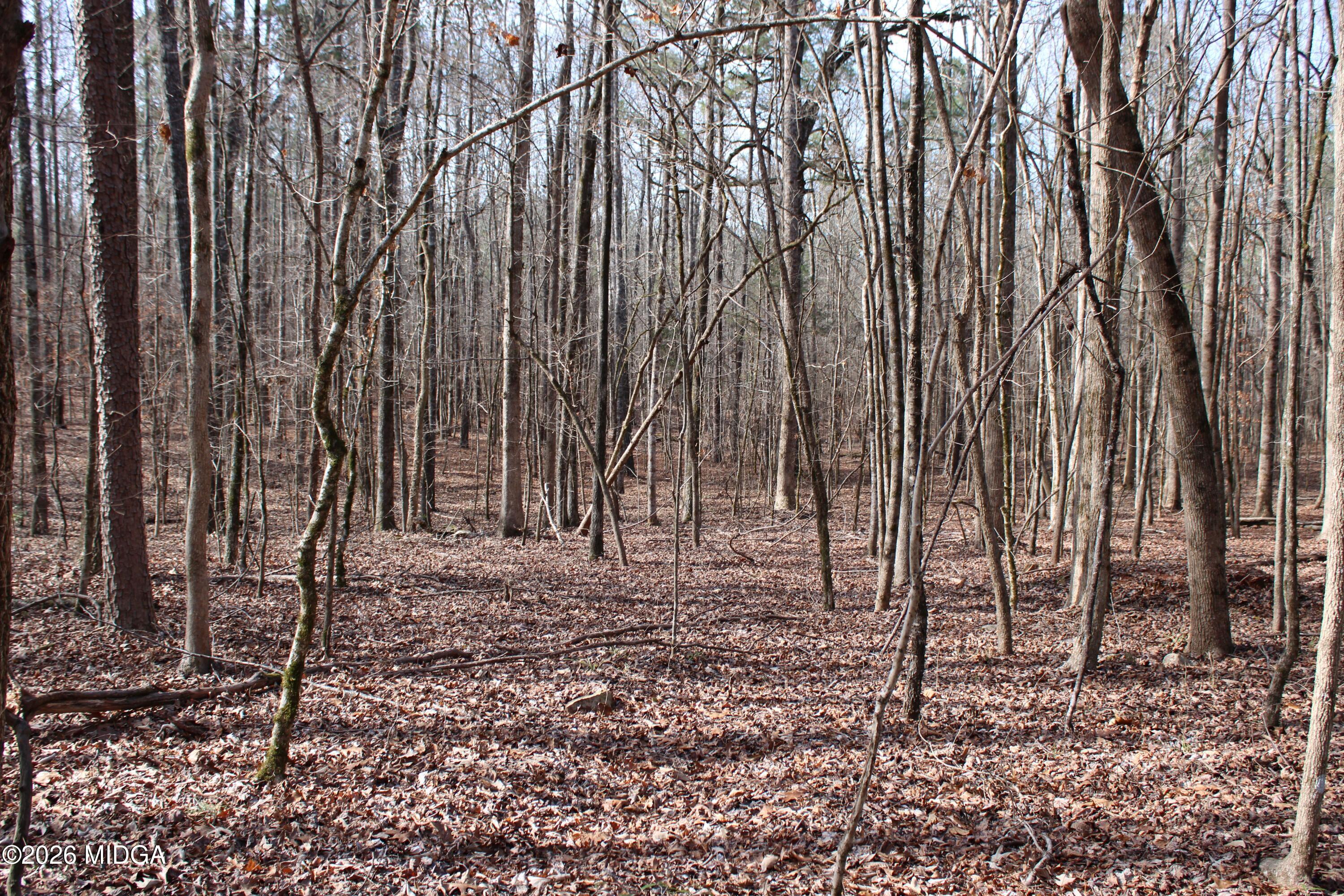 0 Greensboro Road Northwest Union Point, GA 30669 - Photo 36 of 42 a backyard of a house with lots of green space