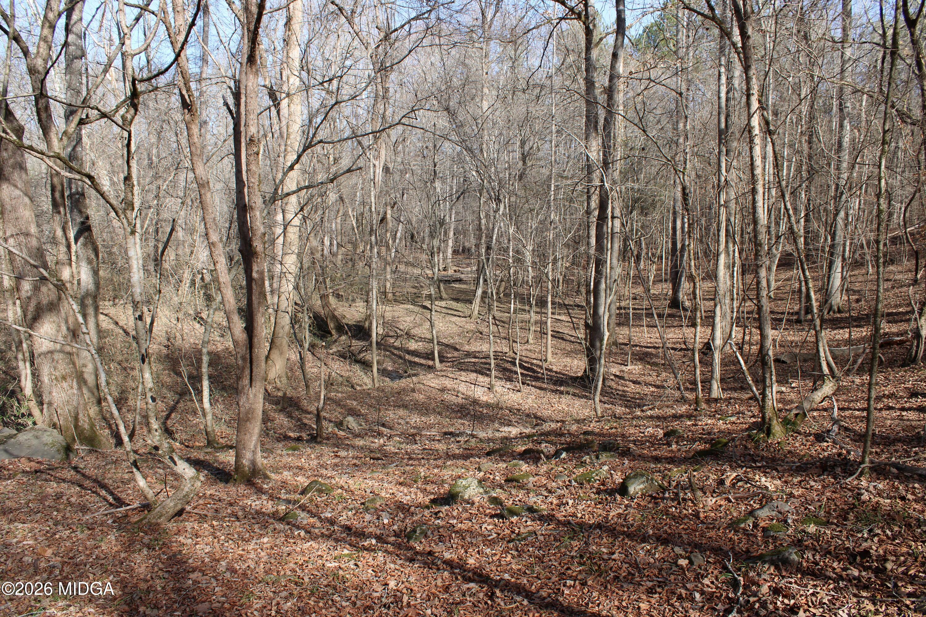 0 Greensboro Road Northwest Union Point, GA 30669 - Photo 38 of 42 a backyard of a house with lots of green space