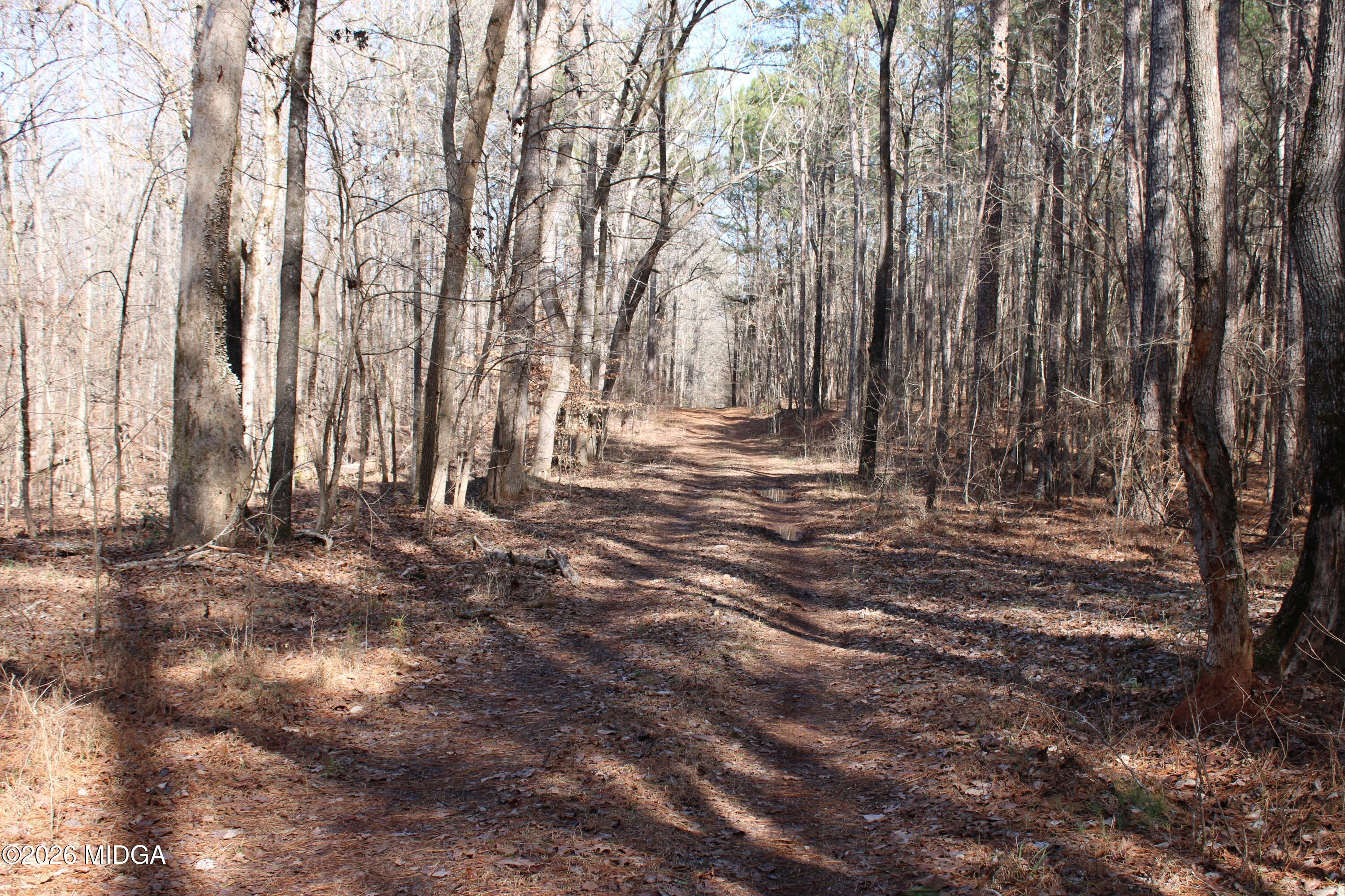 0 Greensboro Road Northwest Union Point, GA 30669 - Photo 41 of 42 a view of park