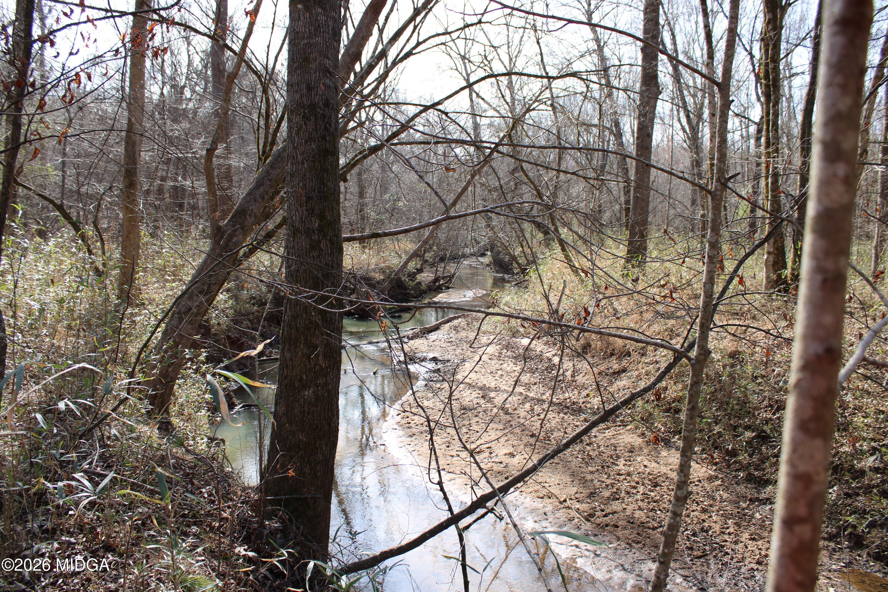 0 Greensboro Road Northwest Union Point, GA 30669 - Photo 6 of 42 a backyard of a house with lots of green space