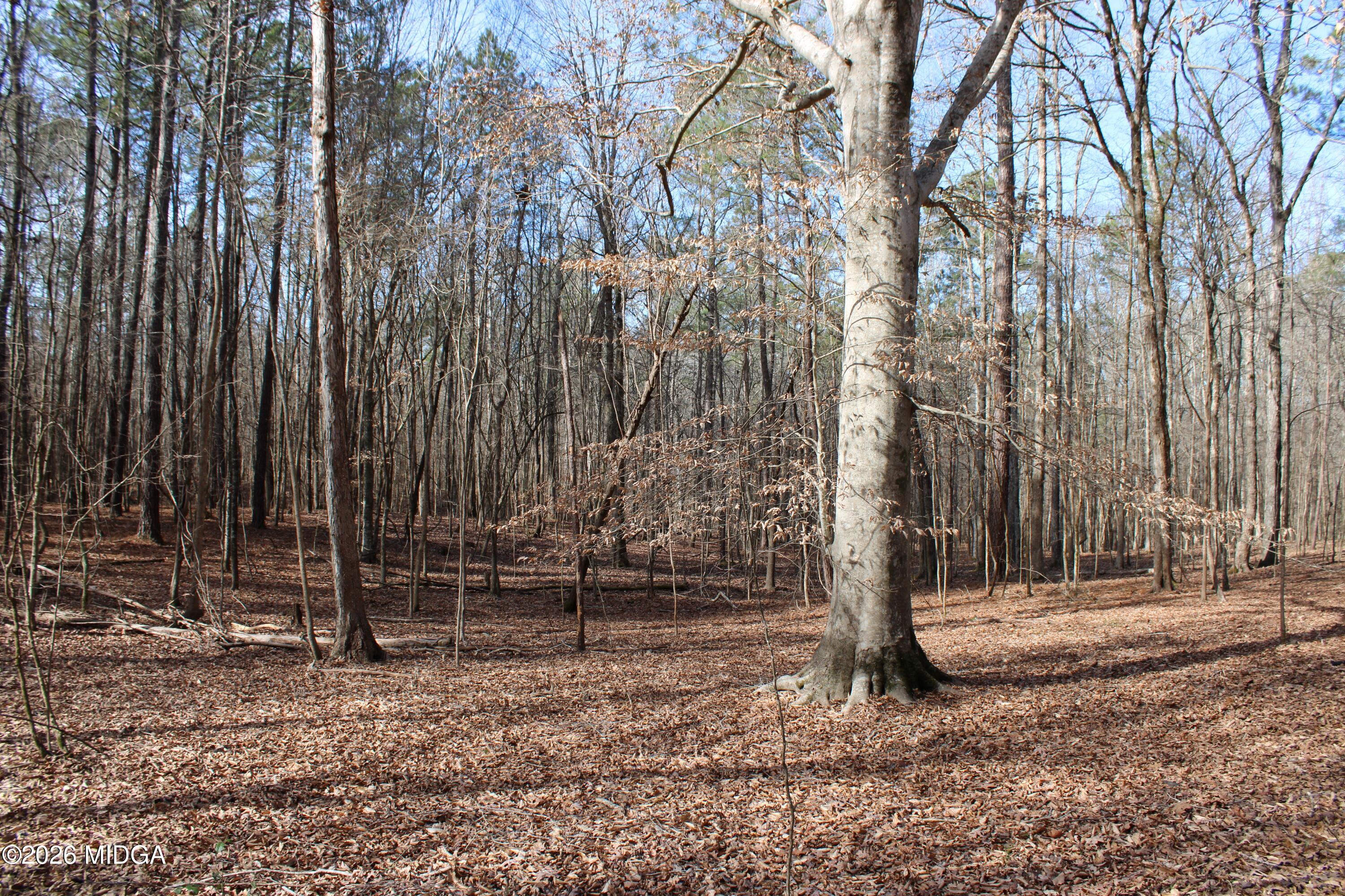 0 Greensboro Road Northwest Union Point, GA 30669 - Photo 7 of 42 a backyard of a house with lots of green space