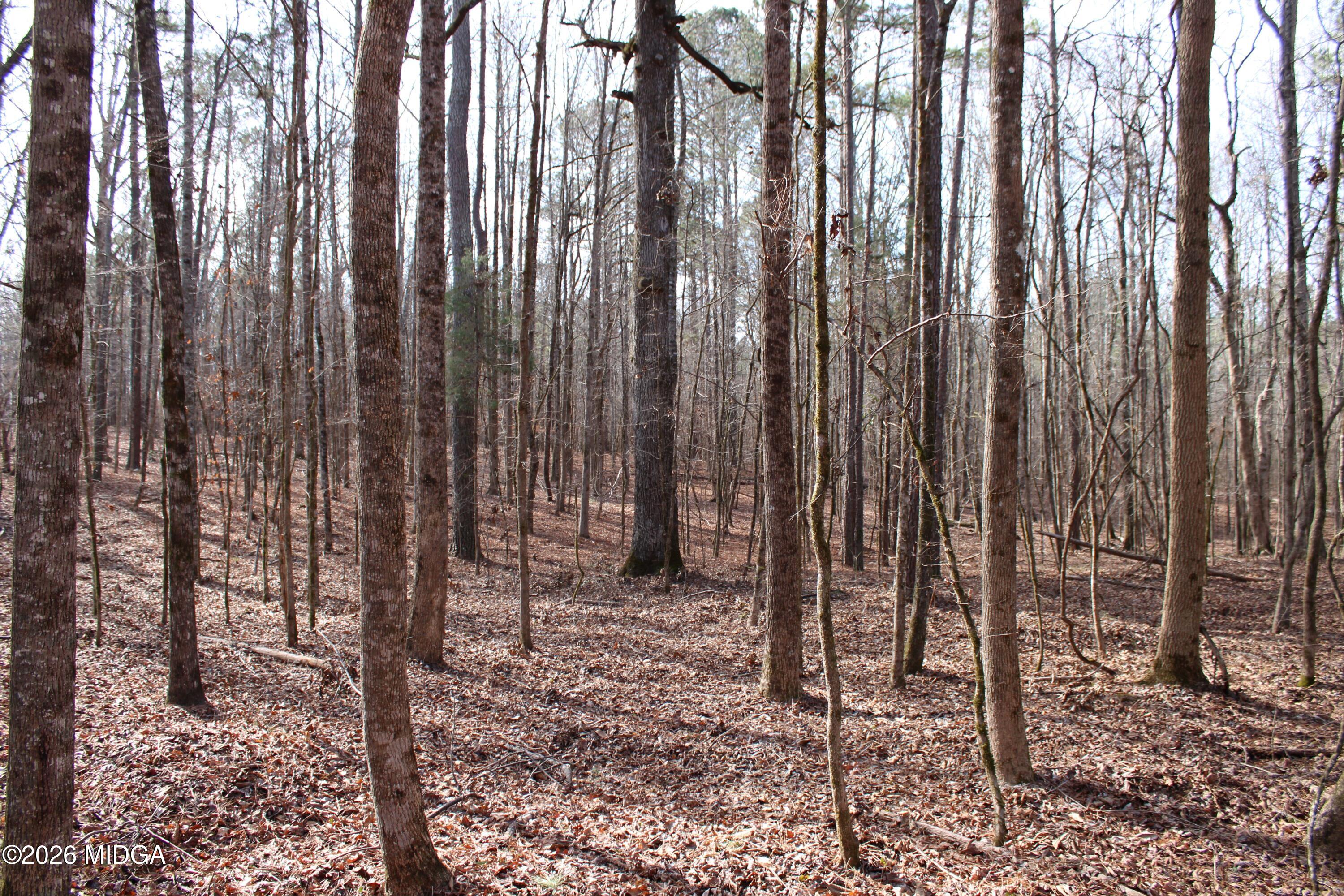 0 Greensboro Road Northwest Union Point, GA 30669 - Photo 8 of 42 a view of outdoor space with chairs