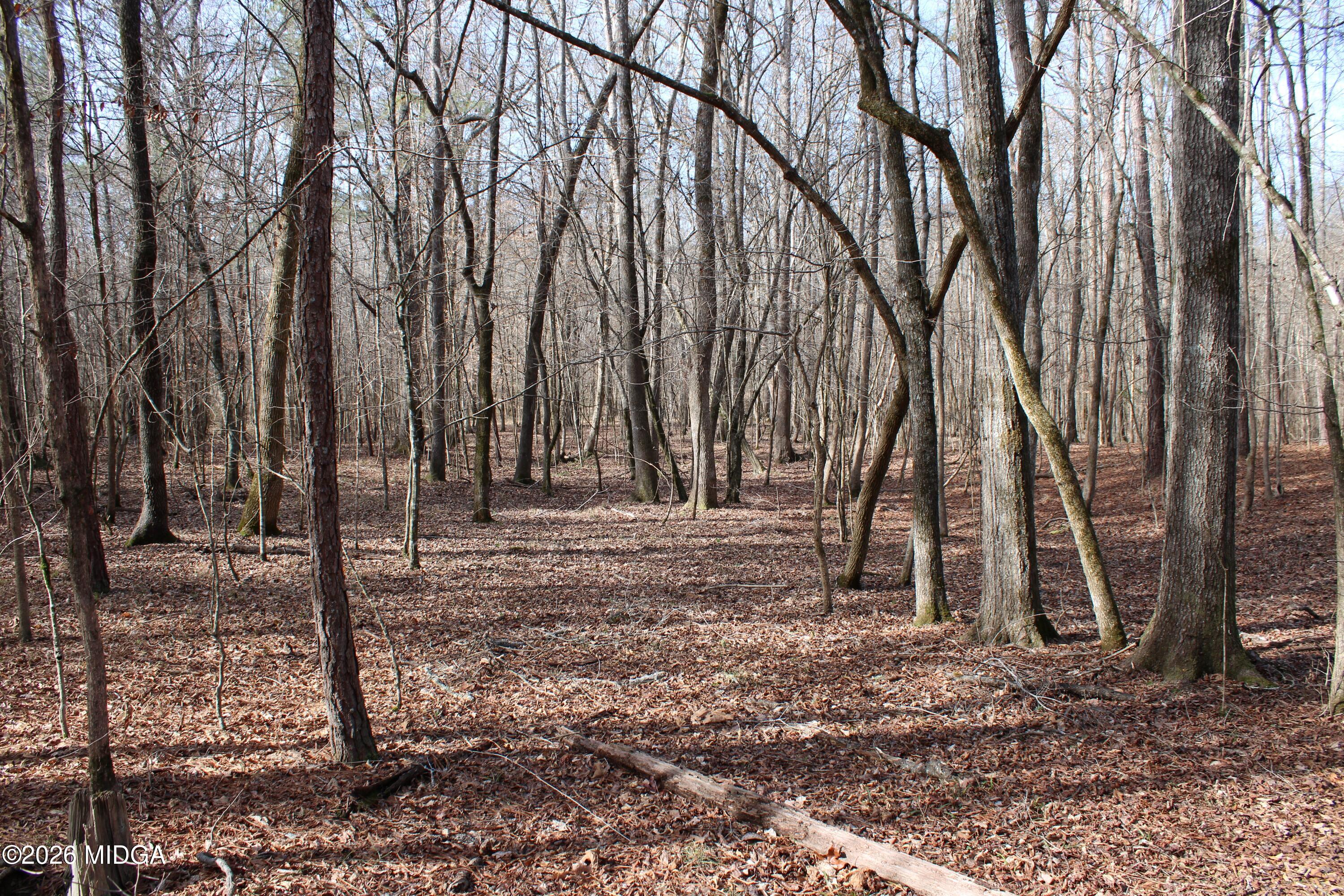 0 Greensboro Road Northwest Union Point, GA 30669 - Photo 10 of 42 a view of a backyard with large trees
