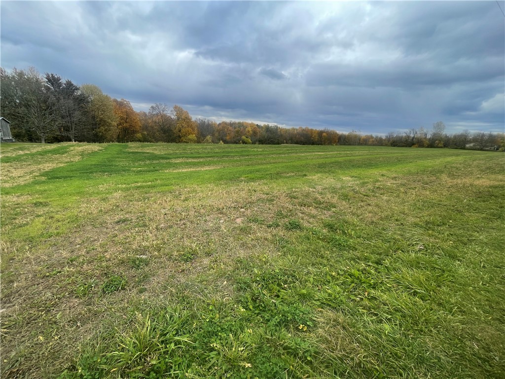 0 East Road Savannah, NY 13146 - Photo 4 of 8