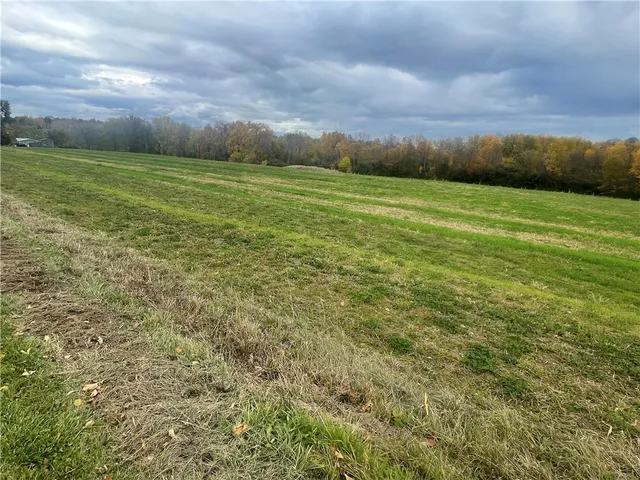 $85,000 | 0 East Road, Savannah, NY 13146