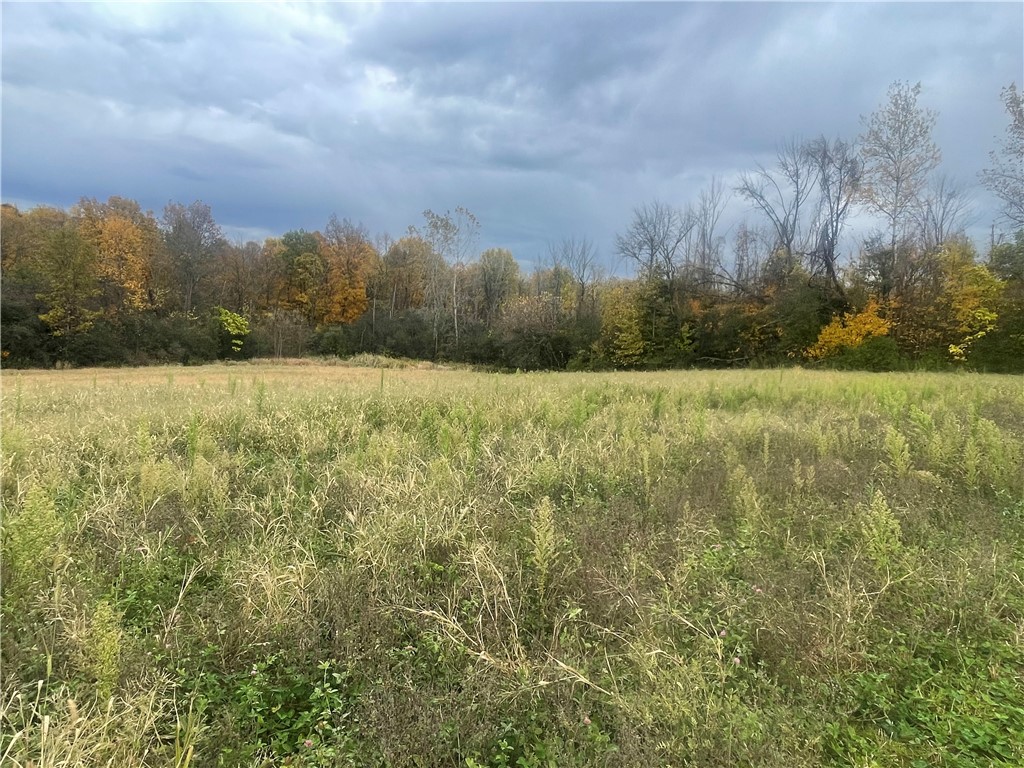 0 East Road Savannah, NY 13146 - Photo 6 of 8