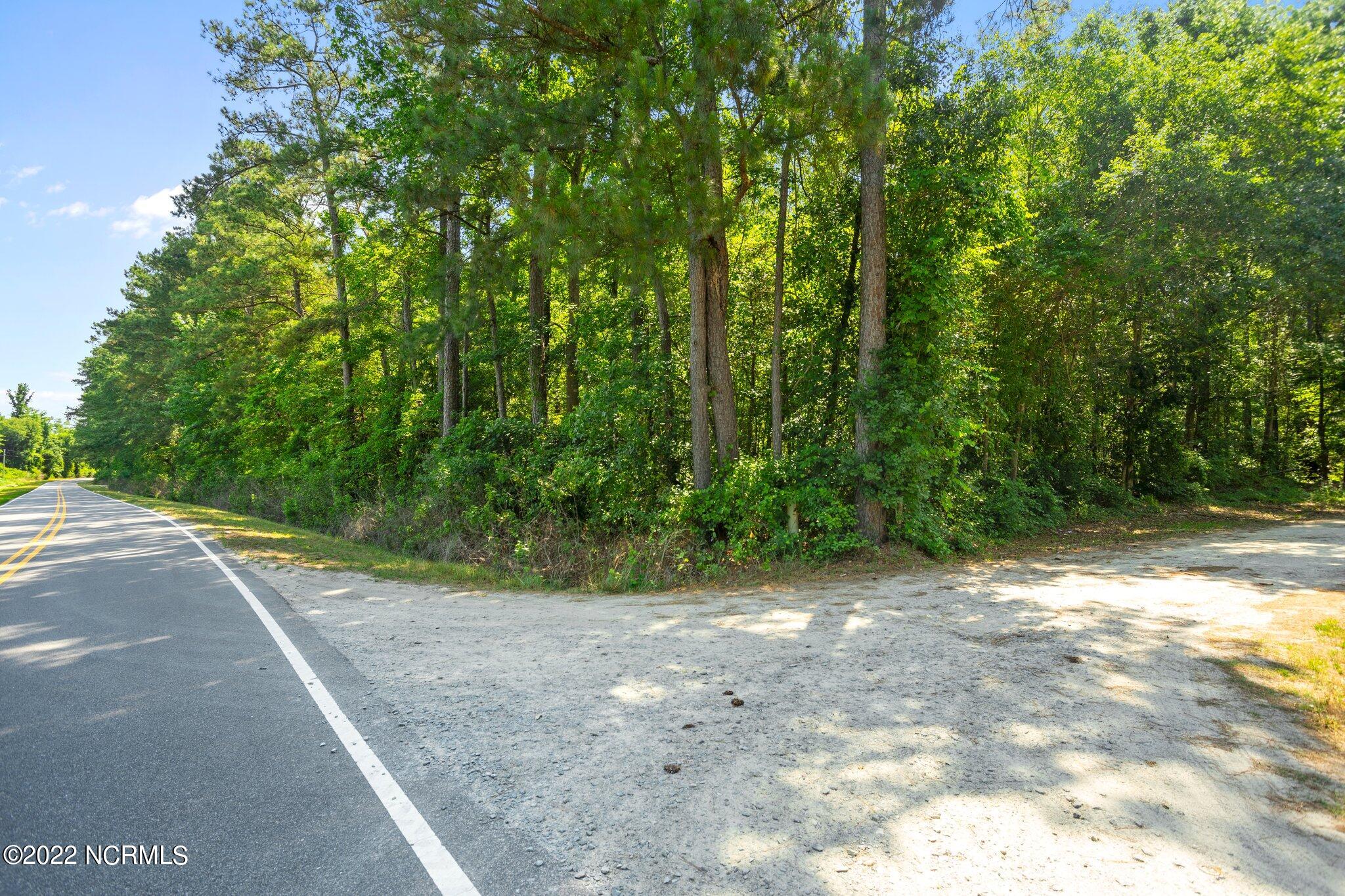 Tbd Lightwood Bridge Road Wallace, NC 28466 - Photo 21 of 21 20-web-or-mls-DSC04335