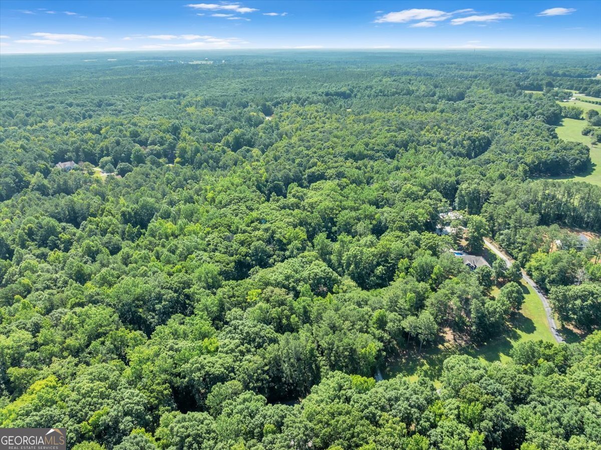 1251 S Trace Rutledge, GA 30663 - Photo 82 of 87