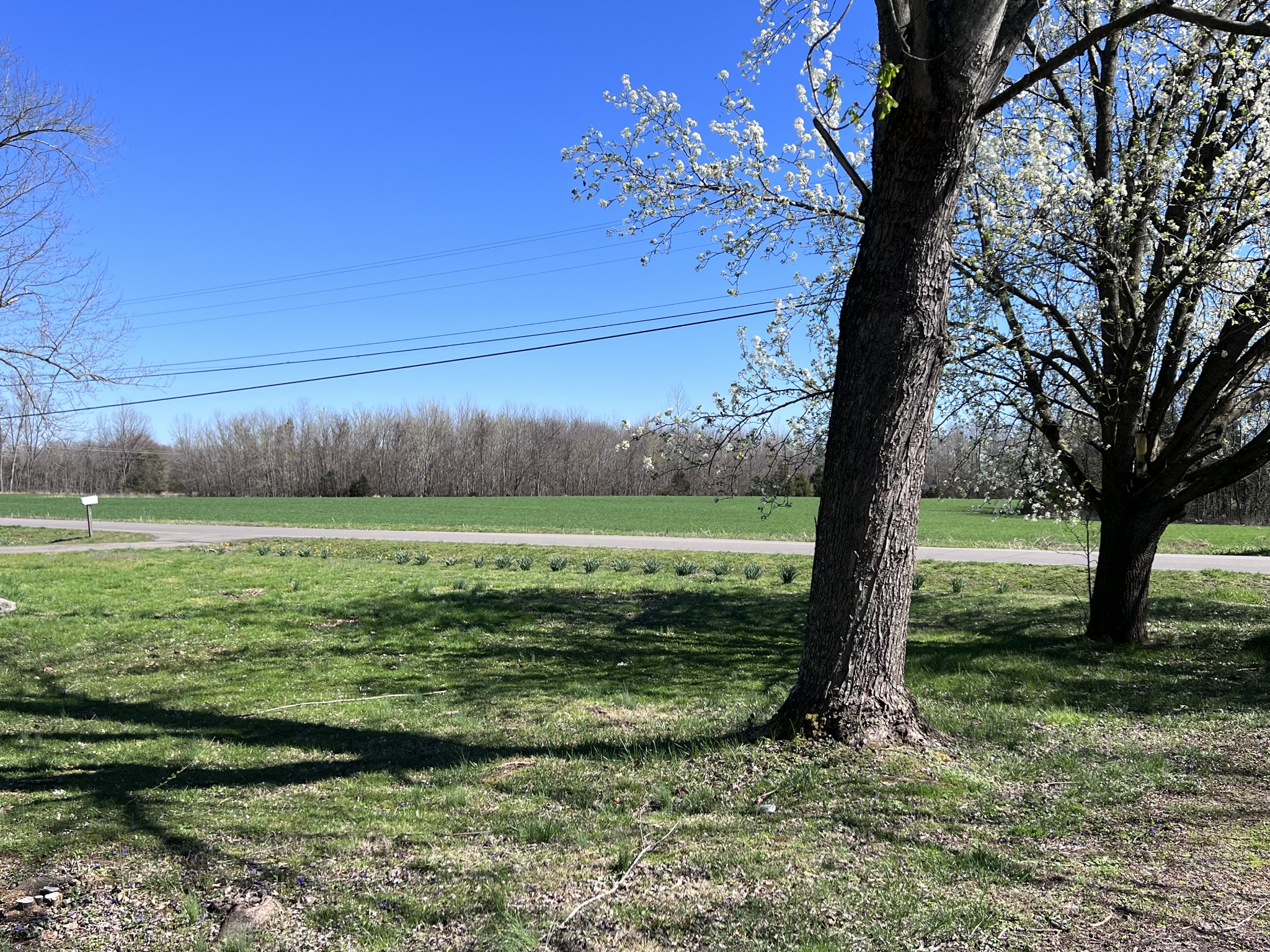 2410 Elam Road Murfreesboro, TN 37127 - Photo 4 of 62 Gallery Image 4