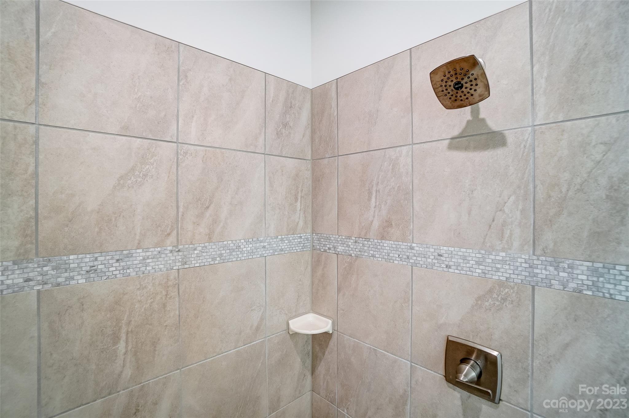 636 Crudent Road Tega Cay, SC 29708 - Photo 32 of 45 a bathroom with a shower