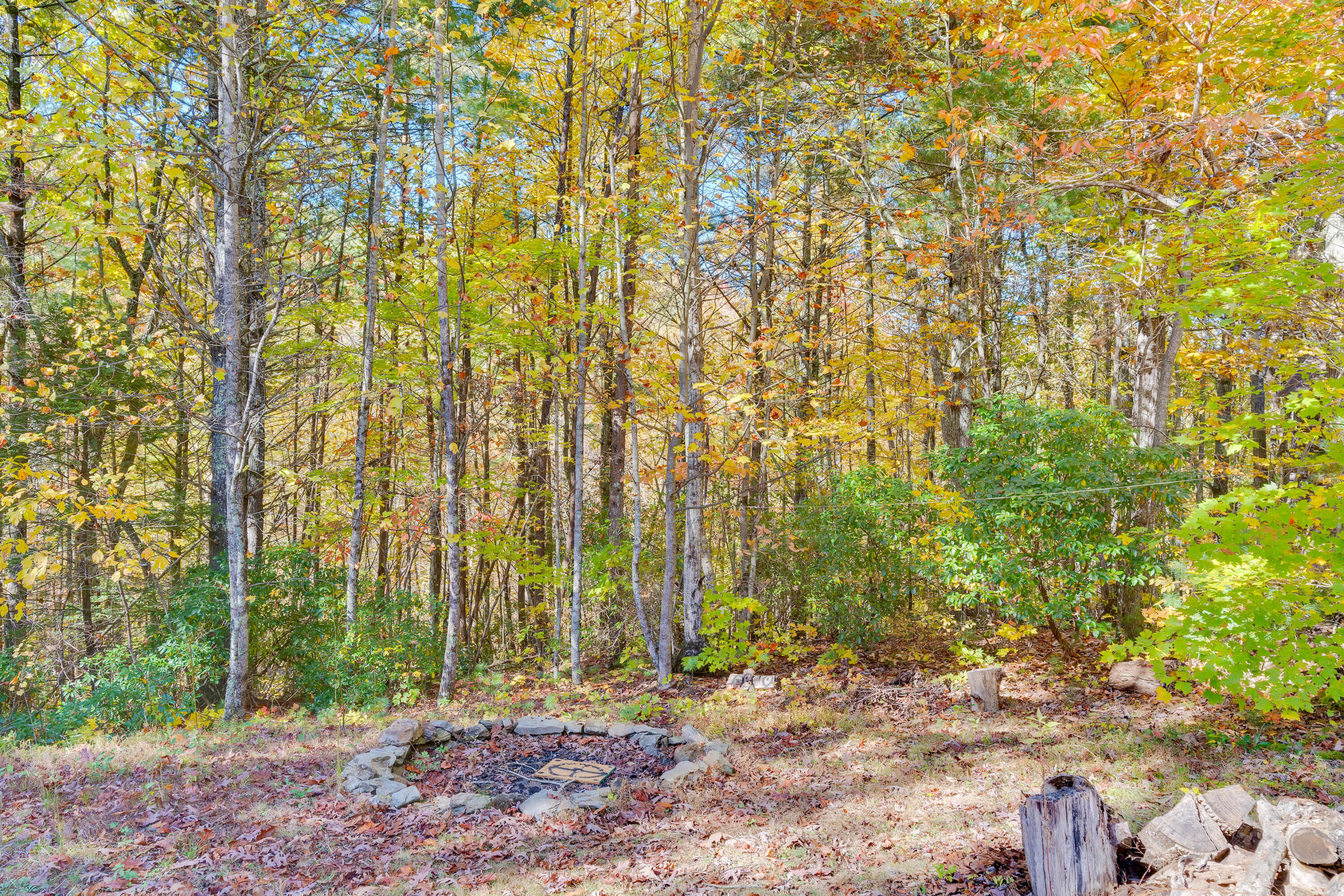 785 Chestnut Mountain Road Reliance, TN 37369 - Photo 36 of 68 785-Chestnut-Mountain-Rd-High-Res-Photos