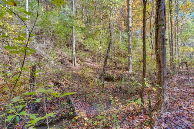 $375,000 | 785 Chestnut Mountain Road, Reliance, TN 37369