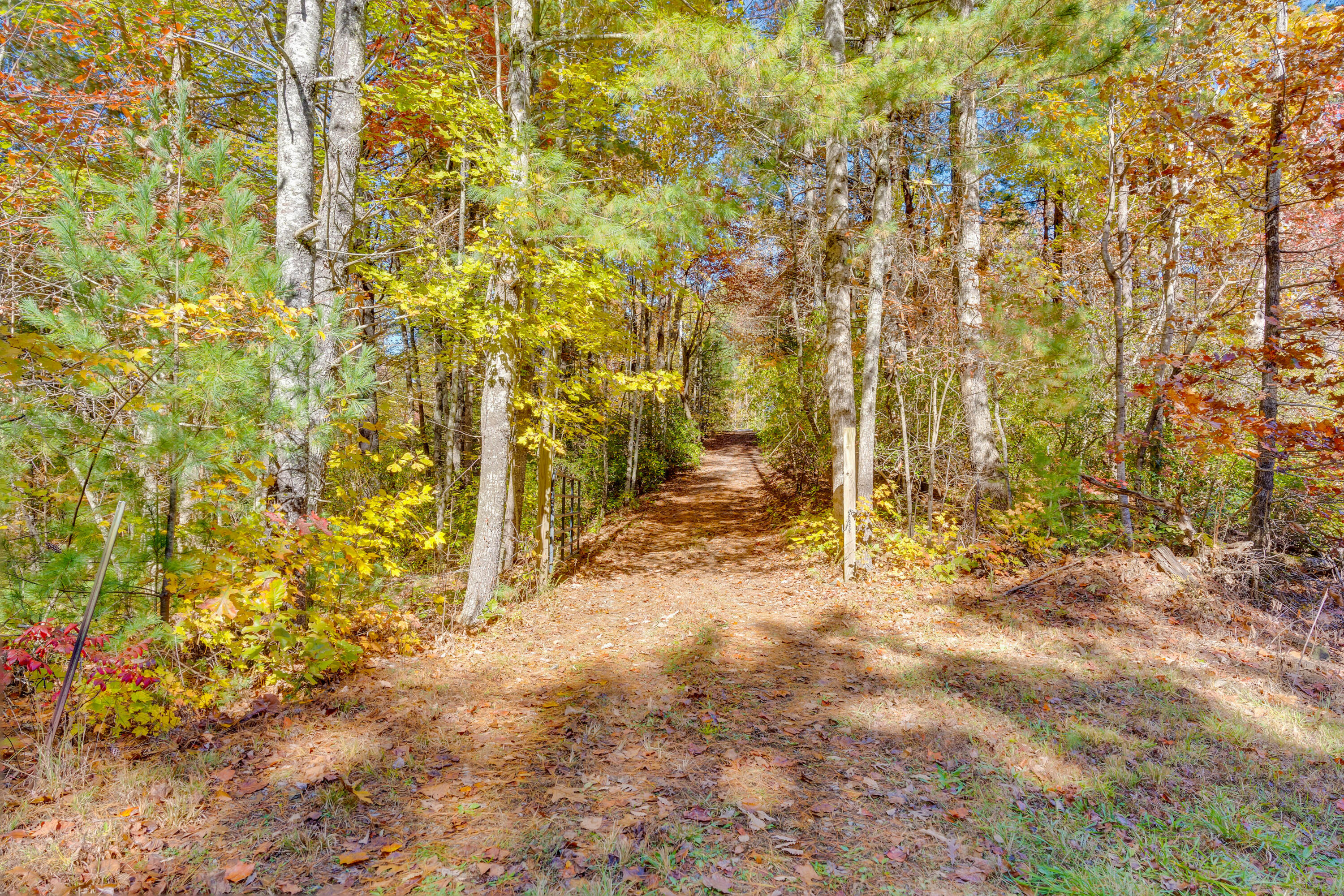 785 Chestnut Mountain Road Reliance, TN 37369 - Photo 44 of 68 785-Chestnut-Mountain-Rd-High-Res-Photos