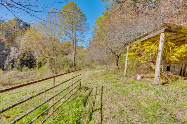 $375,000 | 785 Chestnut Mountain Road, Reliance, TN 37369
