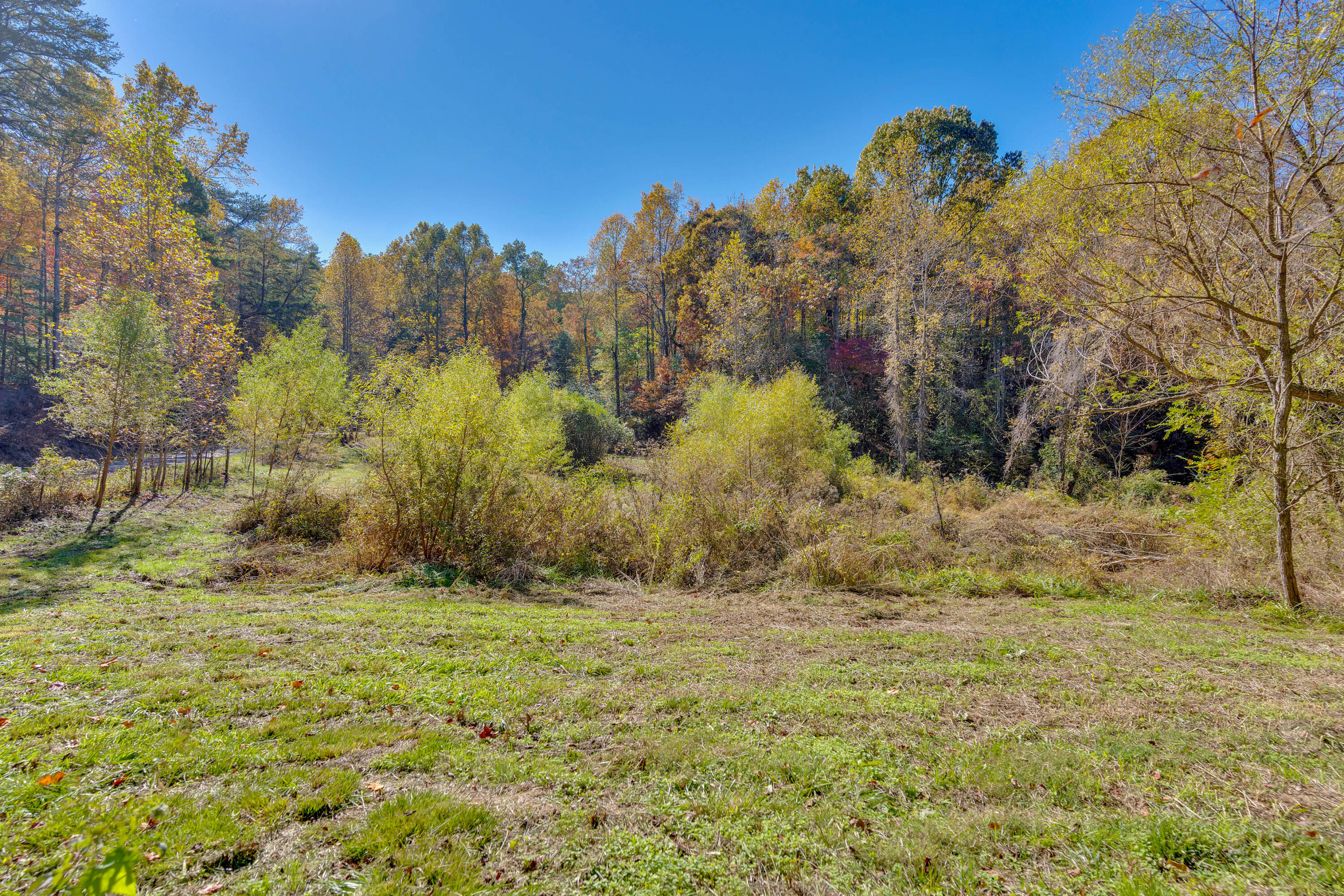 785 Chestnut Mountain Road Reliance, TN 37369 - Photo 46 of 68 785-Chestnut-Mountain-Rd-High-Res-Photos