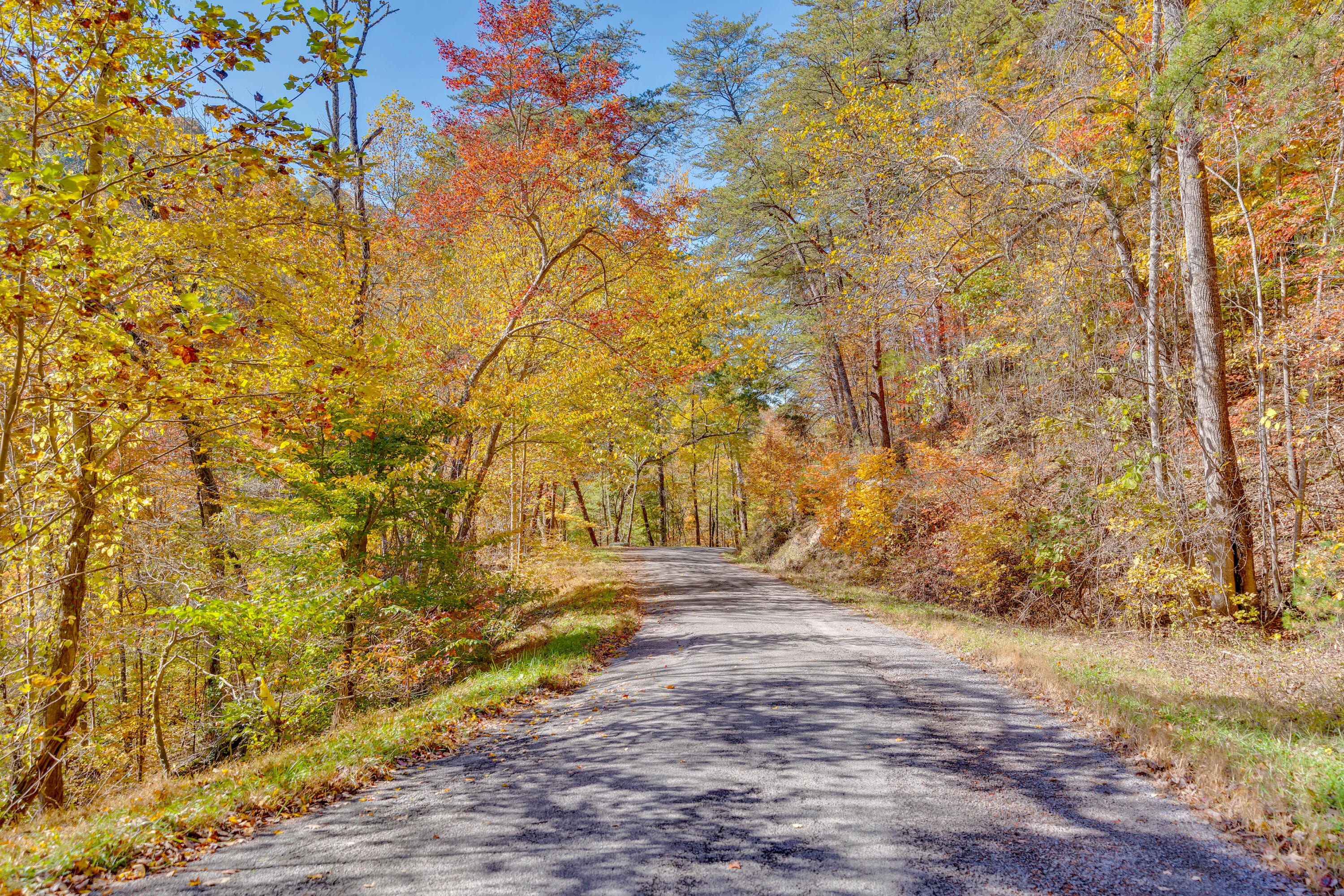 785 Chestnut Mountain Road Reliance, TN 37369 - Photo 48 of 68 785-Chestnut-Mountain-Rd-High-Res-Photos