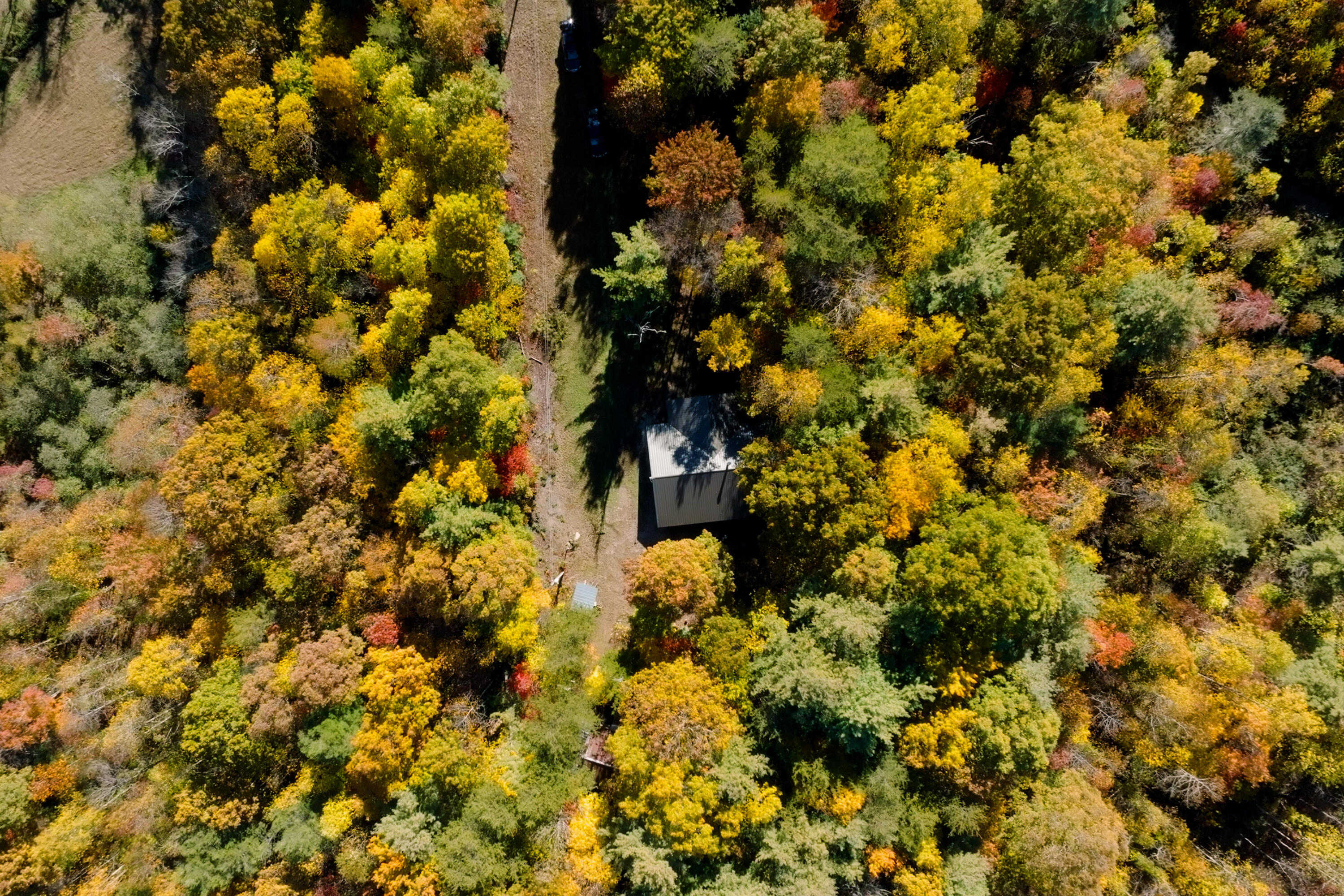 785 Chestnut Mountain Road Reliance, TN 37369 - Photo 50 of 68 785-Chestnut-Mountain-Rd-High-Res-Photos