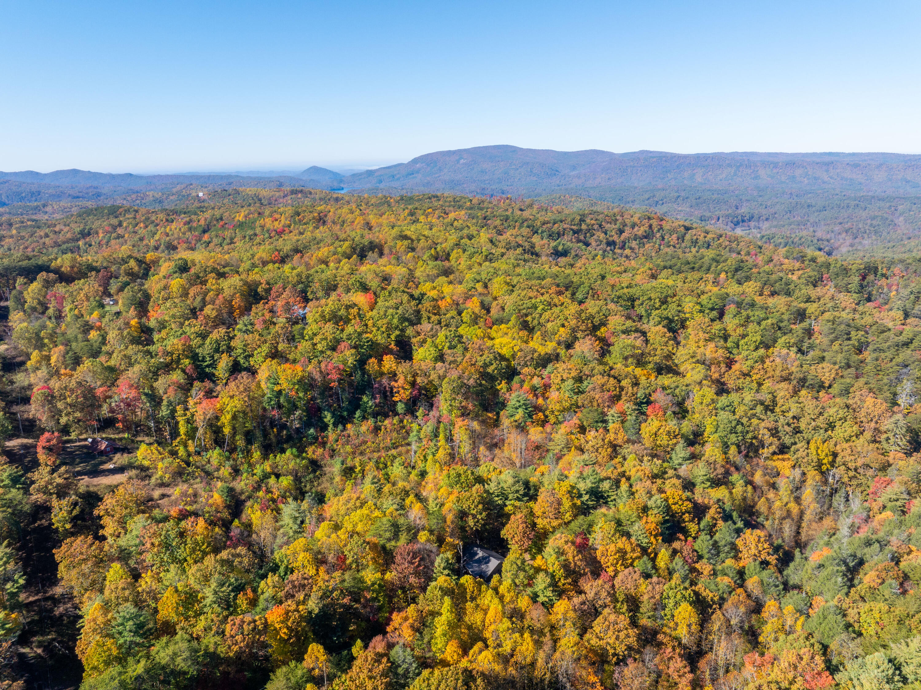 785 Chestnut Mountain Road Reliance, TN 37369 - Photo 53 of 68 785-Chestnut-Mountain-Rd-High-Res-Photos
